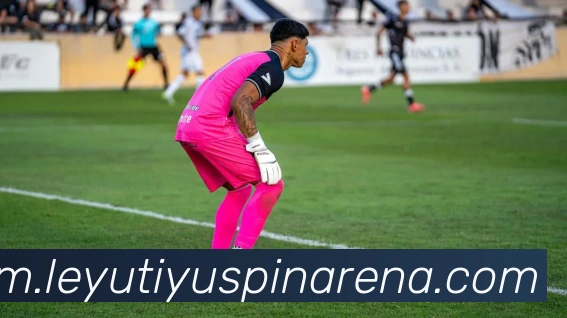 乐鱼体育平台生态图